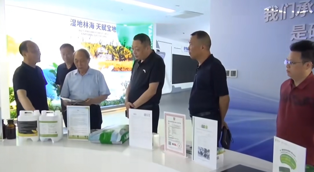 카지노 솔루션